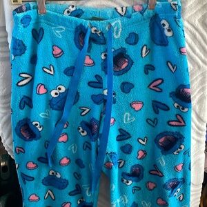 Medium Sesame Street pj pants
